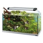 Ferplast Cayman 80 Open